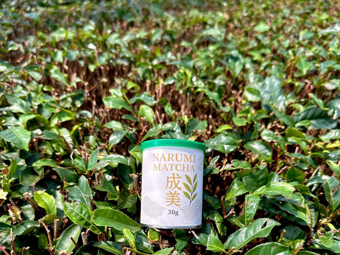 WHOLESALE