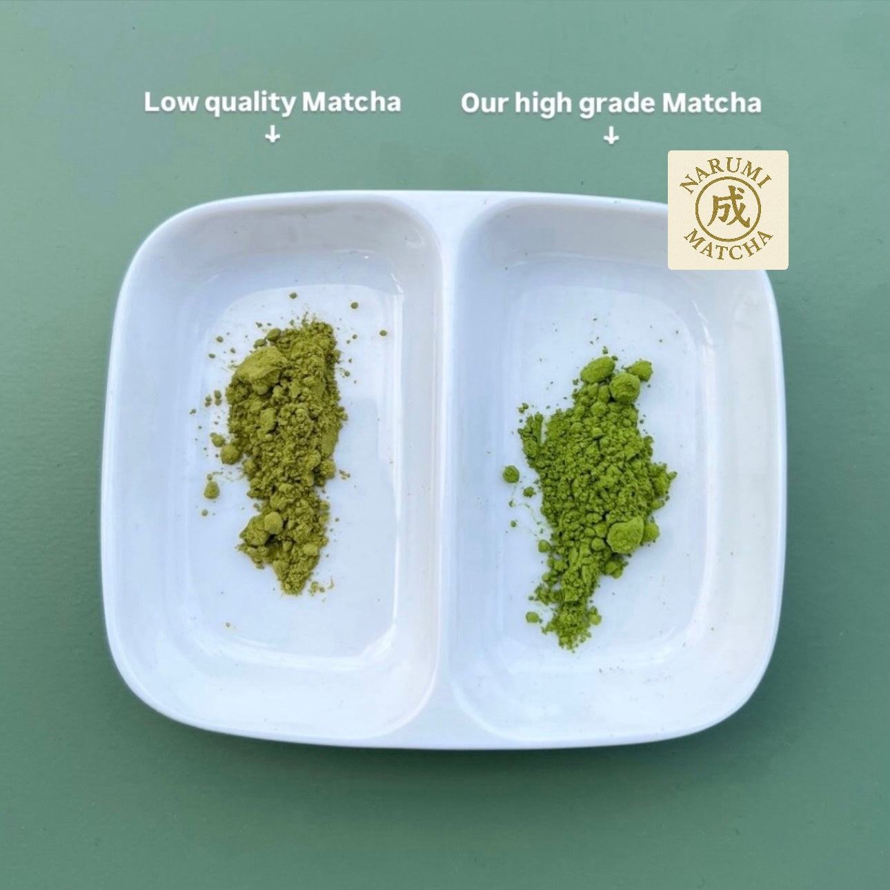 【Special limited-time offer】1kg wholesale